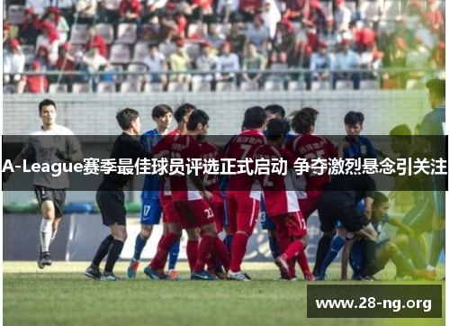 A-League赛季最佳球员评选正式启动 争夺激烈悬念引关注 A-League赛季最佳球员评选正式启动 争夺激烈悬念引关注