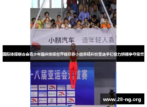 国际体操联合会青少年蹦床体操世界锦标赛小组赛精彩纷呈选手们奋力拼搏争夺荣誉 国际体操联合会青少年蹦床体操世界锦标赛小组赛精彩纷呈选手们奋力拼搏争夺荣誉