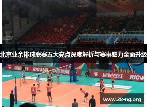 北京业余排球联赛五大亮点深度解析与赛事魅力全面升级 北京业余排球联赛五大亮点深度解析与赛事魅力全面升级