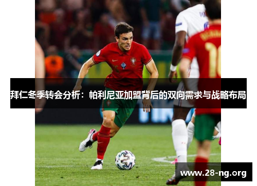 拜仁冬季转会分析:帕利尼亚加盟背后的双向需求与战略布局 拜仁冬季转会分析:帕利尼亚加盟背后的双向需求与战略布局