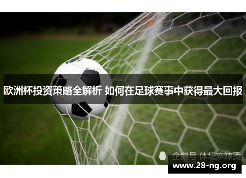 欧洲杯投资策略全解析 如何在足球赛事中获得最大回报 欧洲杯投资策略全解析 如何在足球赛事中获得最大回报