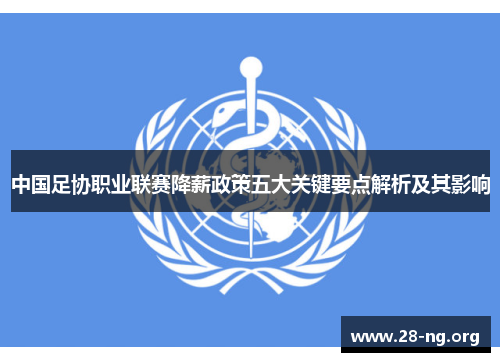 中国足协职业联赛降薪政策五大关键要点解析及其影响 中国足协职业联赛降薪政策五大关键要点解析及其影响