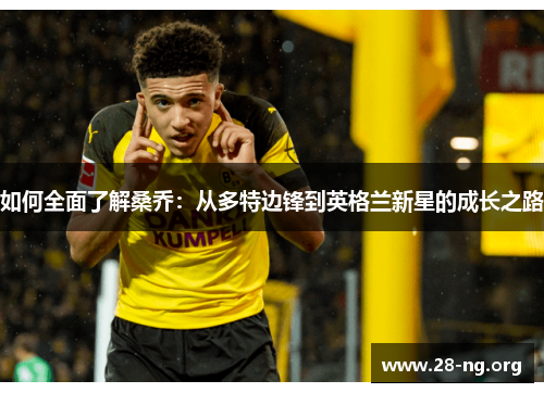 如何全面了解桑乔:从多特边锋到英格兰新星的成长之路 如何全面了解桑乔:从多特边锋到英格兰新星的成长之路