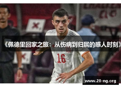 《佩德里回家之旅:从伤病到归属的感人时刻》 《佩德里回家之旅:从伤病到归属的感人时刻》
