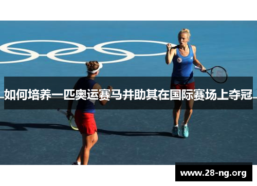 如何培养一匹奥运赛马并助其在国际赛场上夺冠 如何培养一匹奥运赛马并助其在国际赛场上夺冠