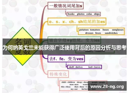 为何纳英戈兰未能获得广泛使用背后的原因分析与思考 为何纳英戈兰未能获得广泛使用背后的原因分析与思考